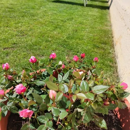 Sunlight Con Giardino Piscina E Parcheggio Castelnuovo Magra